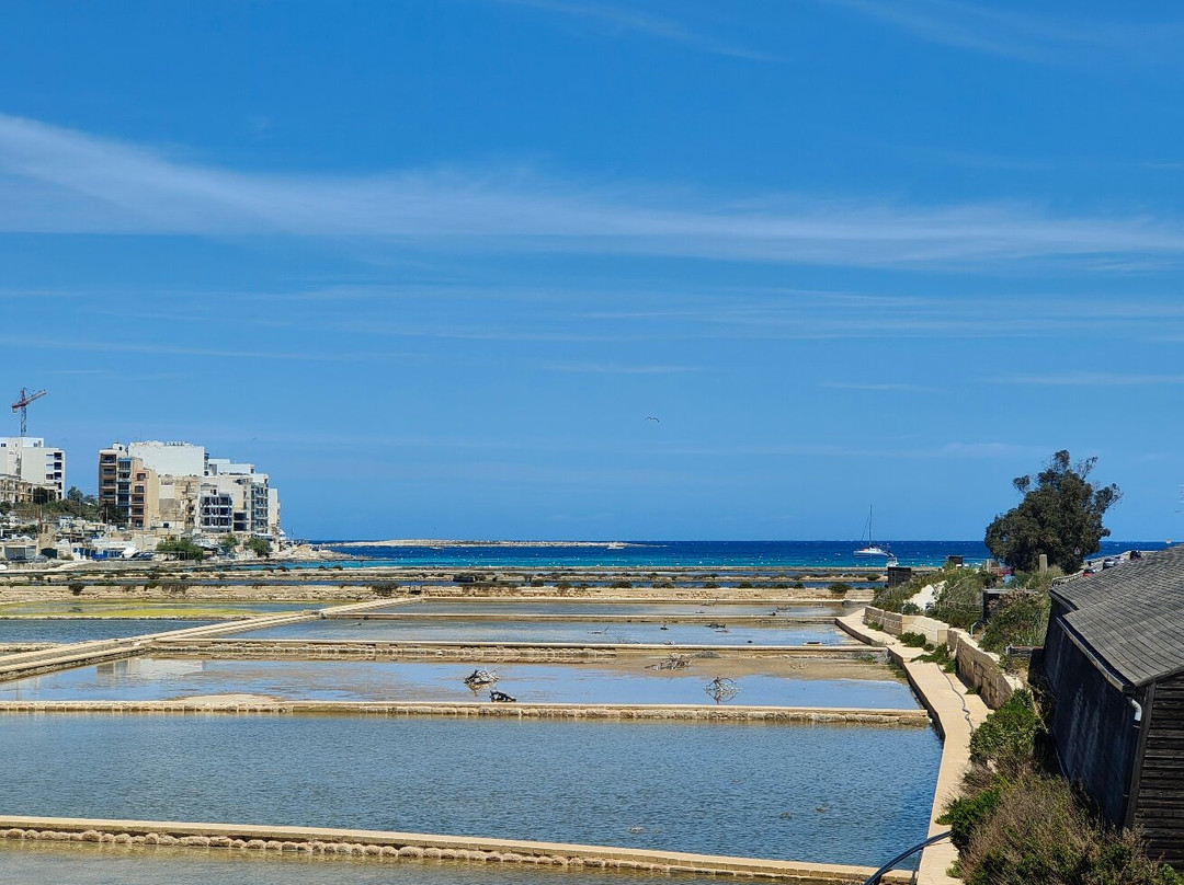 Salina Nature Reserve-Naxxar必去景点
