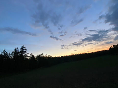 Moose Safari-赫尔辛基必去景点