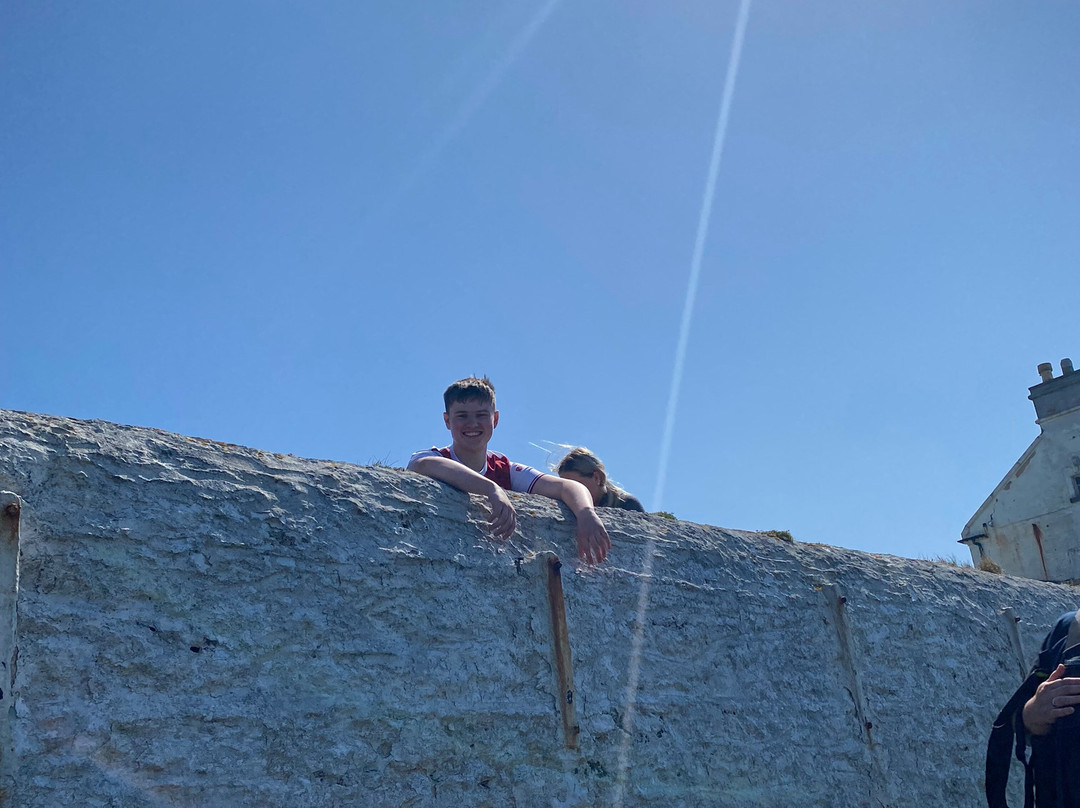 Tralee Bay Experience- Fenit boat tours景点图片
