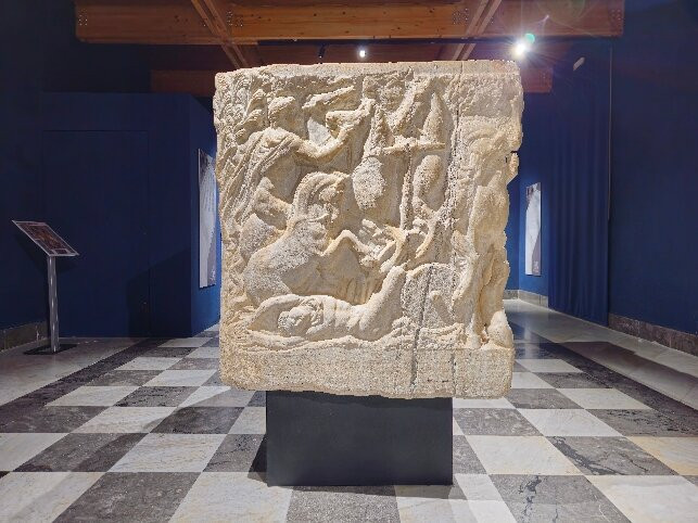 Museo Diocesano della Cattedrale景点图片