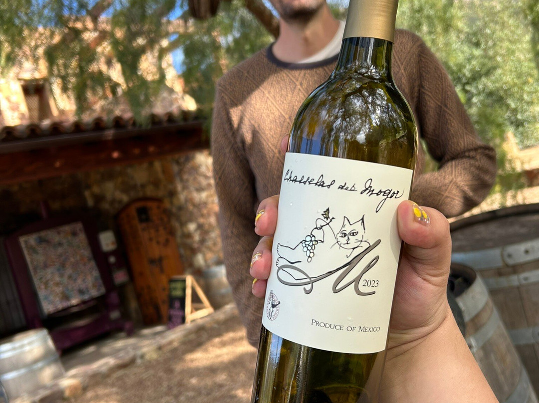 Vinicola Mogor Badan景点图片
