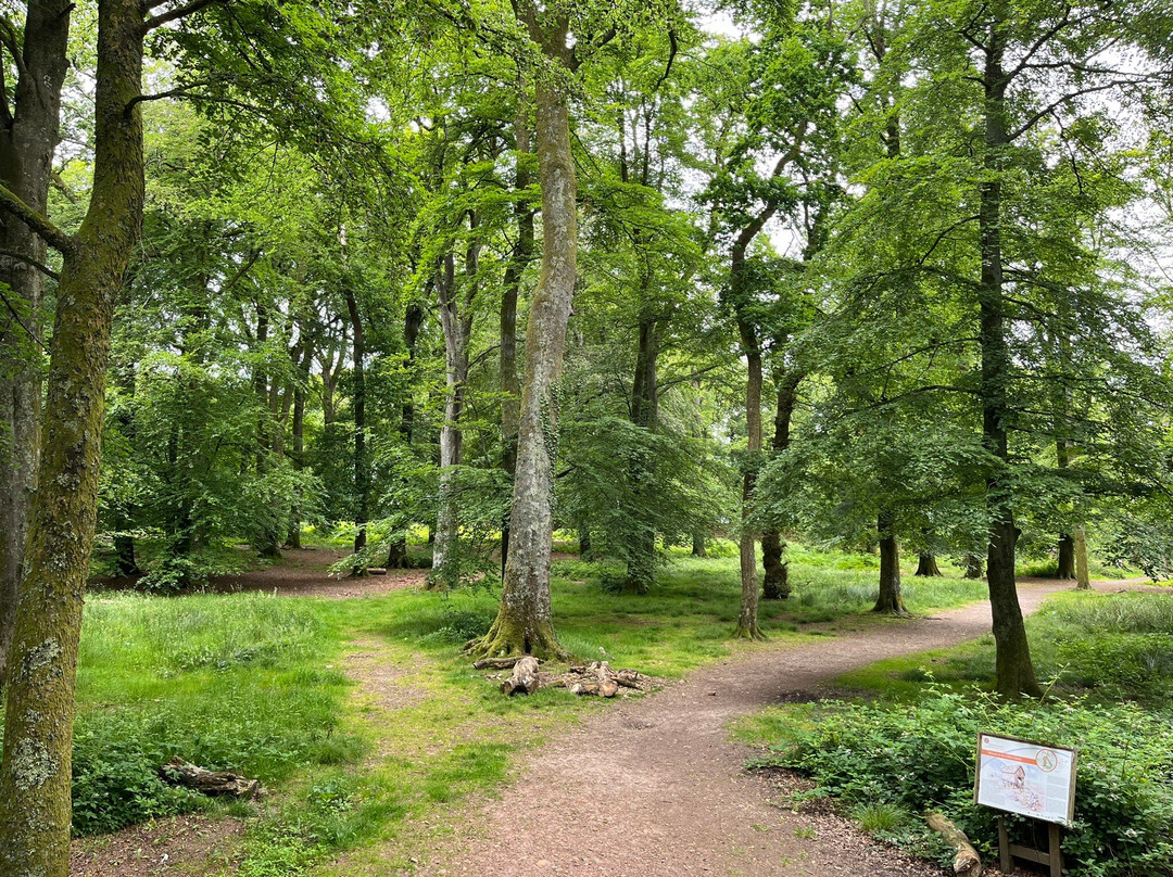 Woodbury Castle-Woodbury Salterton必去景点