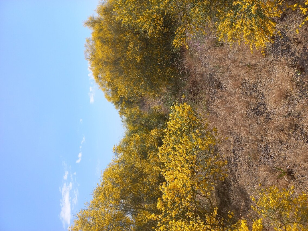 Etna Vibes Excursions-卡塔尼亚必去景点