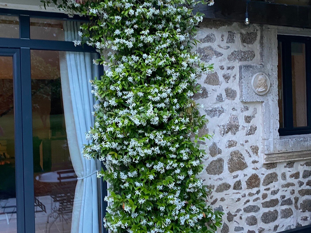 Le Jardin Secret主图