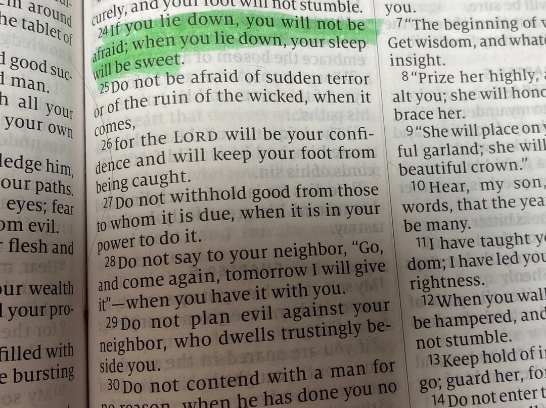 巴吉特旅馆主图