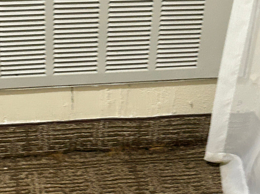 Comfort Suites Gainesville主图