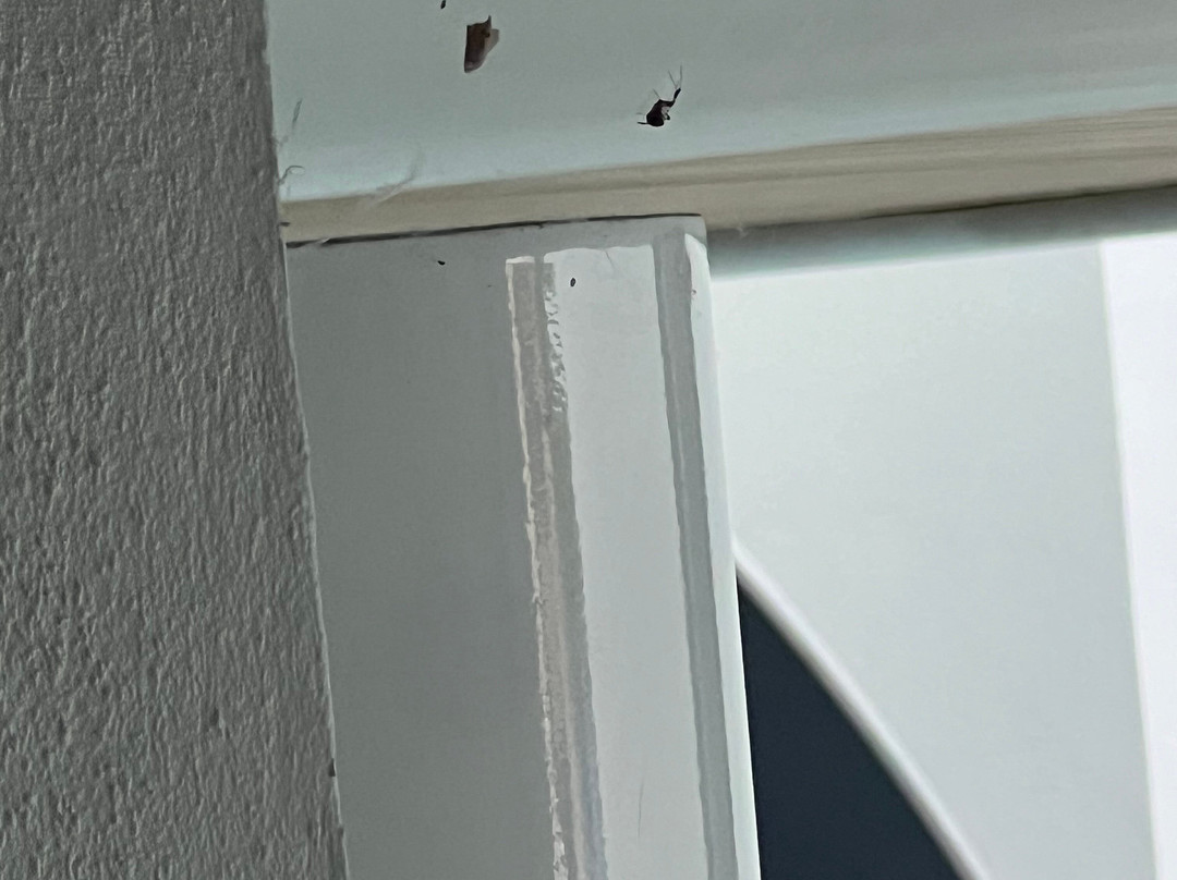 TRYP by Wyndham Mayaguez主图