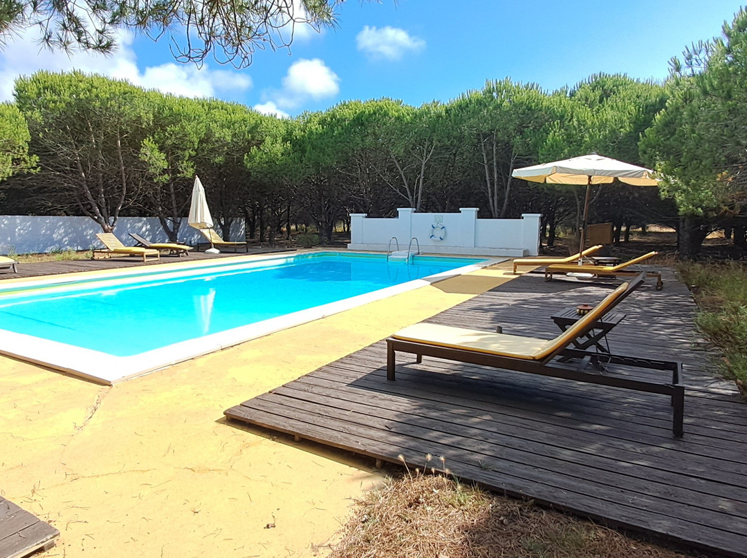 Monte do Papa Léguas主图