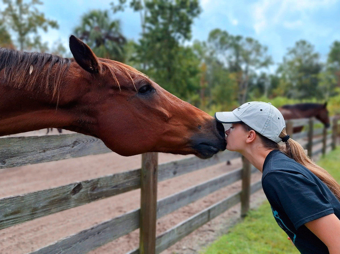 Cheyne Ranch, Inc.-Oviedo必去景点