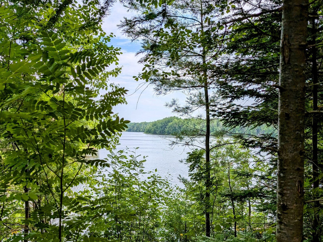 Irving Arboretum-Bouctouche必去景点