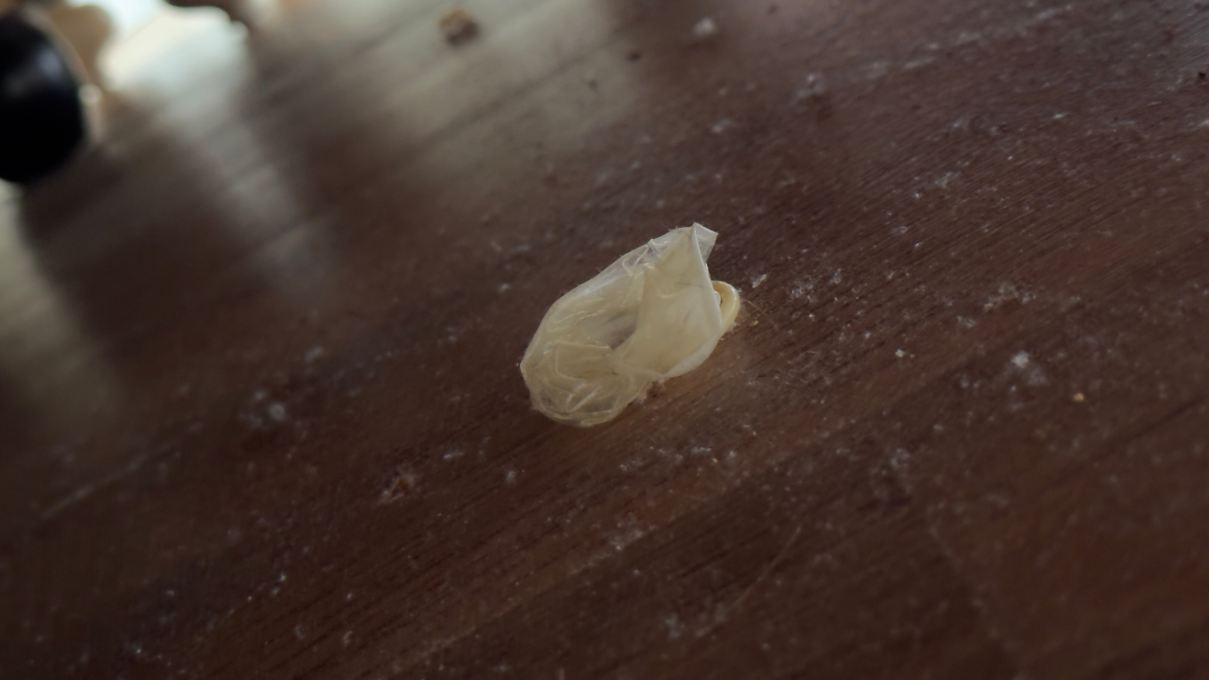 巴黎近郊热讷维利耶行政酒店-客卧