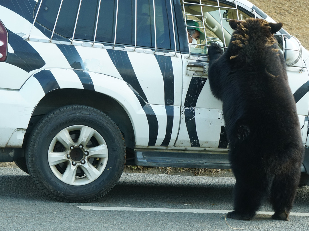 African Safari-宇佐市必去景点