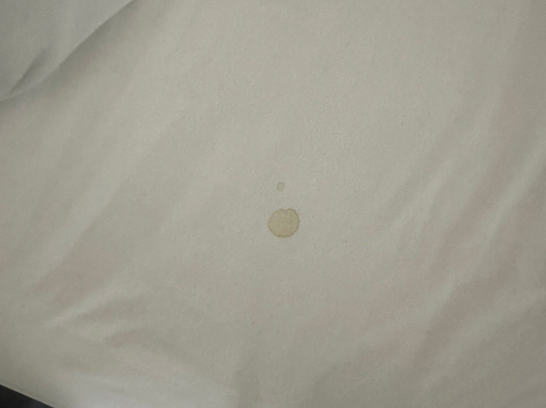 Aloft Houston Katy主图