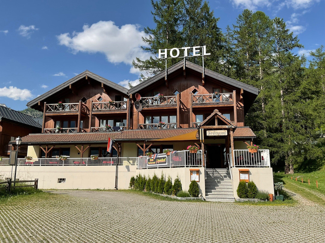 Hotel Alpenhof主图