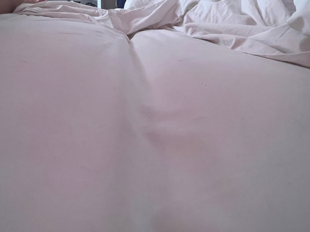 李奥纳多酒店主图