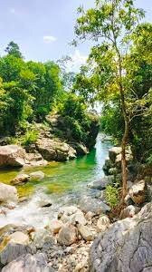 Suối Đá Cổng景点图片