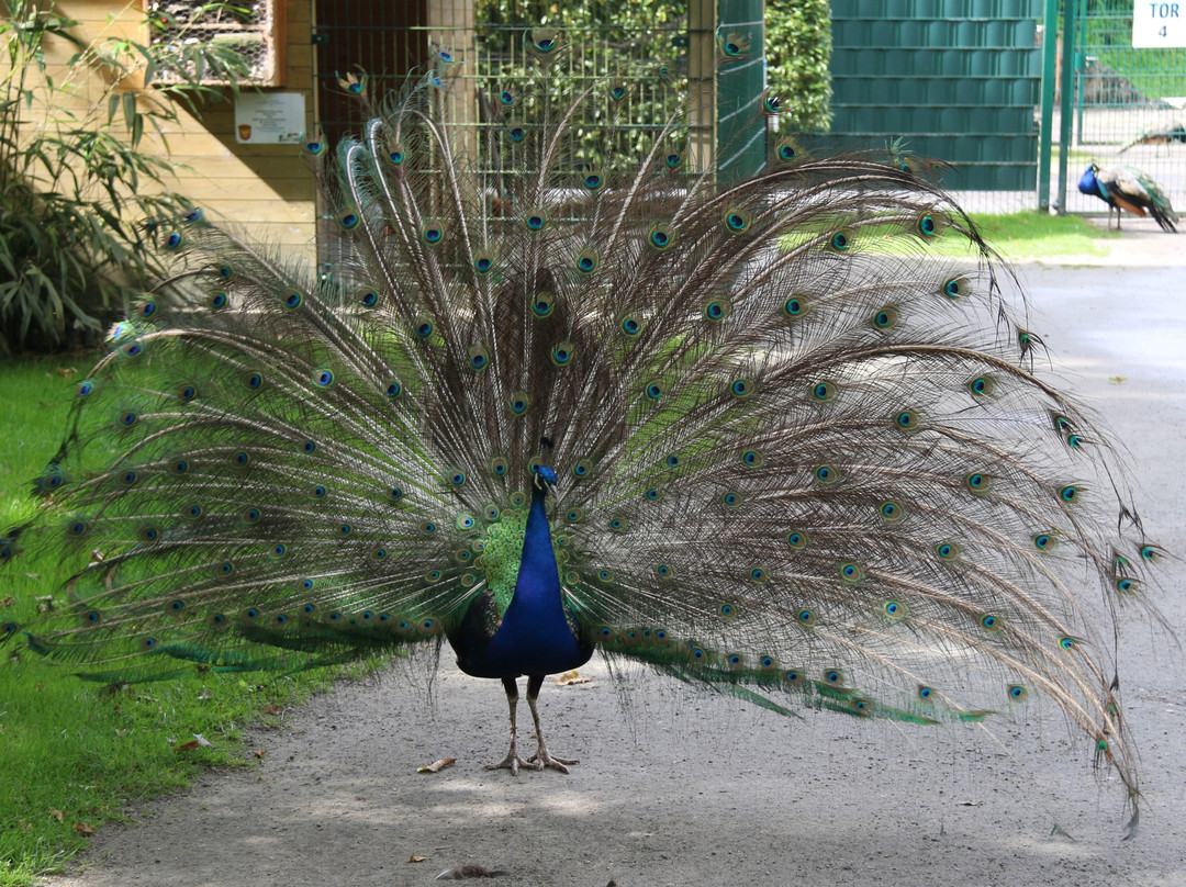 Birgits Tiergarten-Hage必去景点