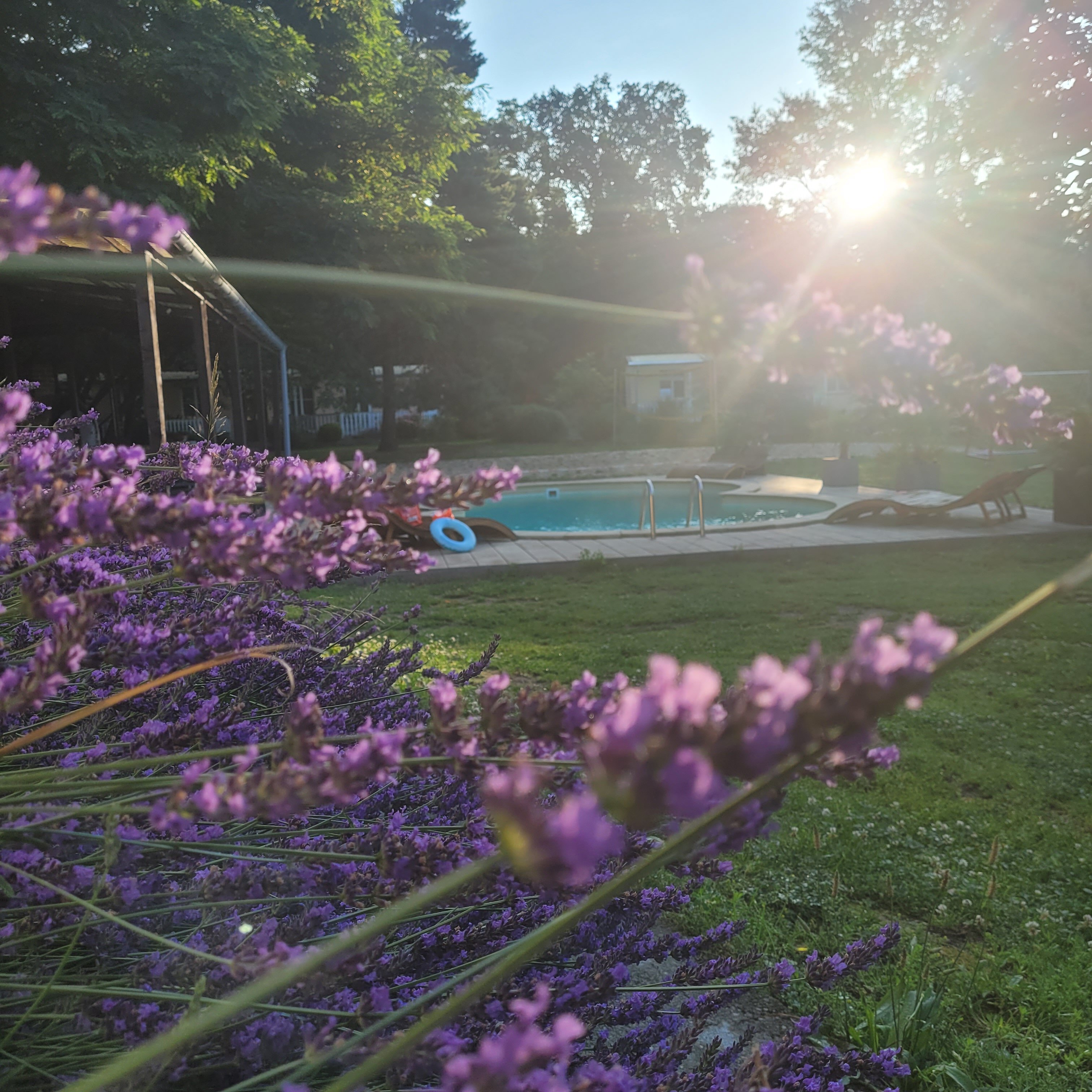 Ferienparadies Waldidylle-官方