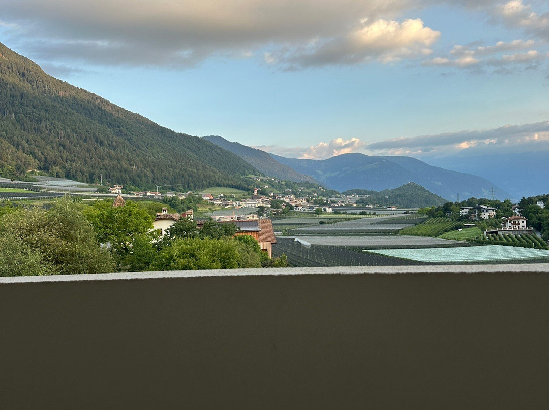 Pension Felsenegg主图