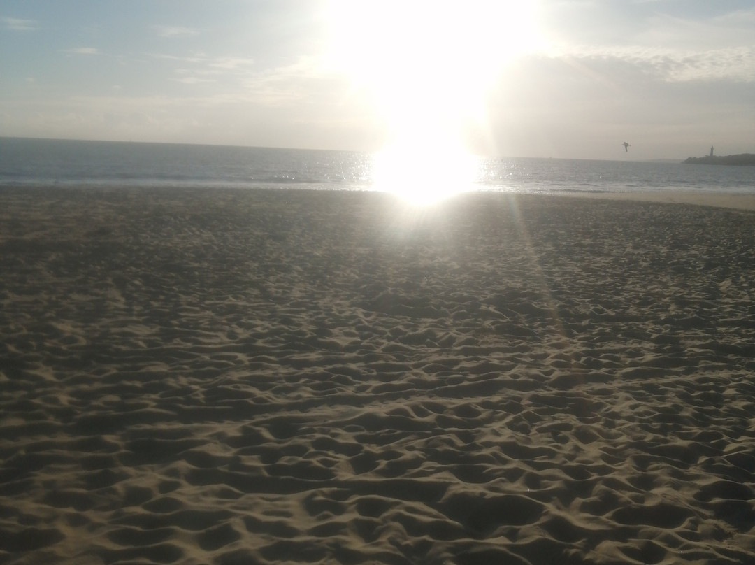 Les Buissonnets主图