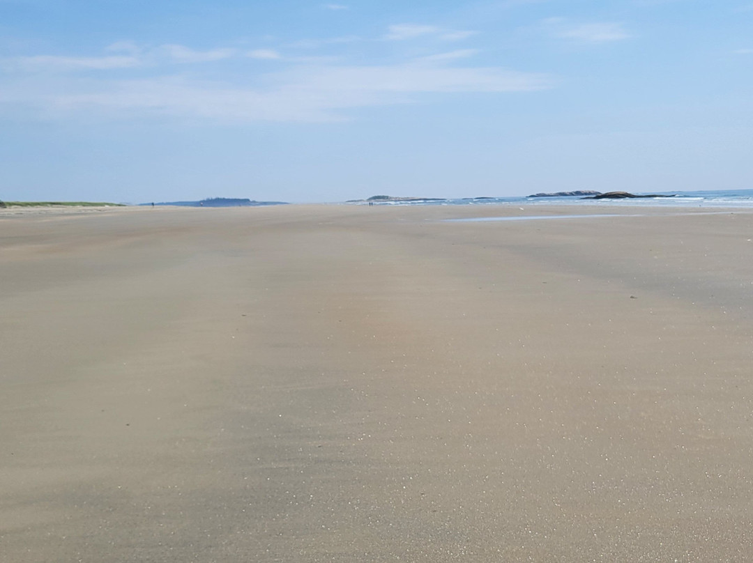 Morse Mountain To Seawall Beach景点图片