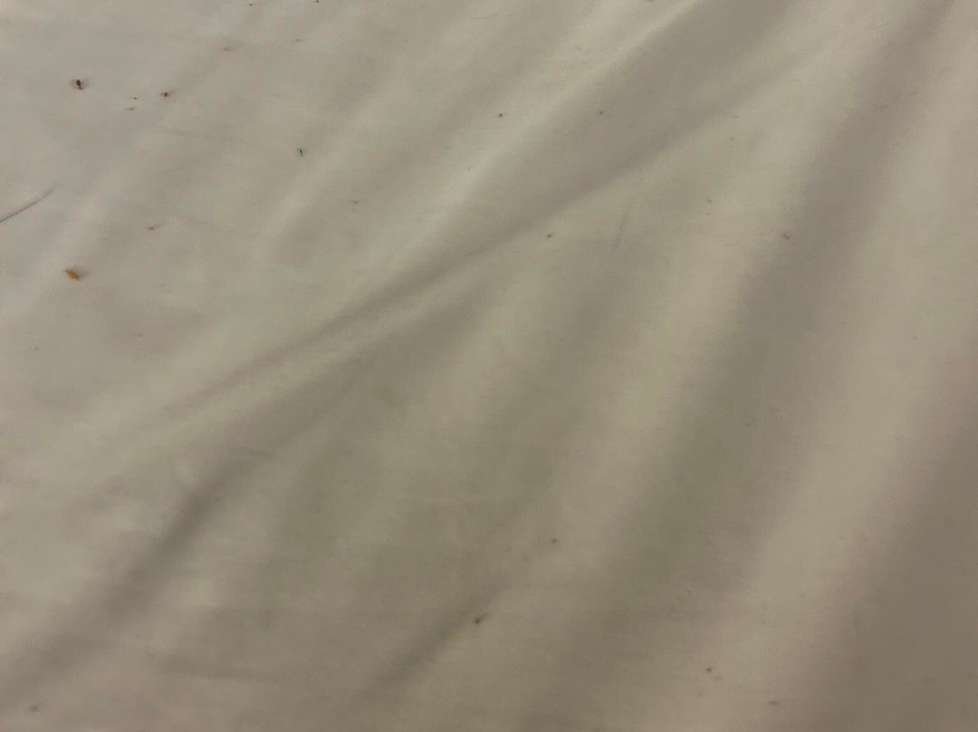 Candlewood Suites Belle Vernon By IHG主图