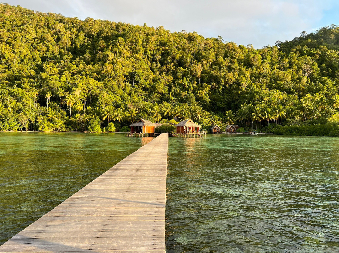 Nyande Raja Ampat主图