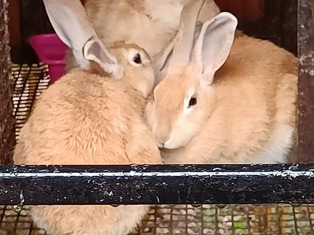 Peeku Park Yercaud-亚尔考德必去景点