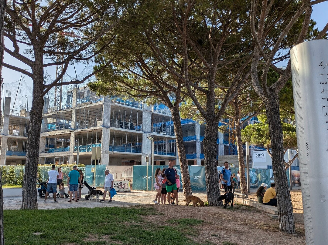 Platja Gran景点图片