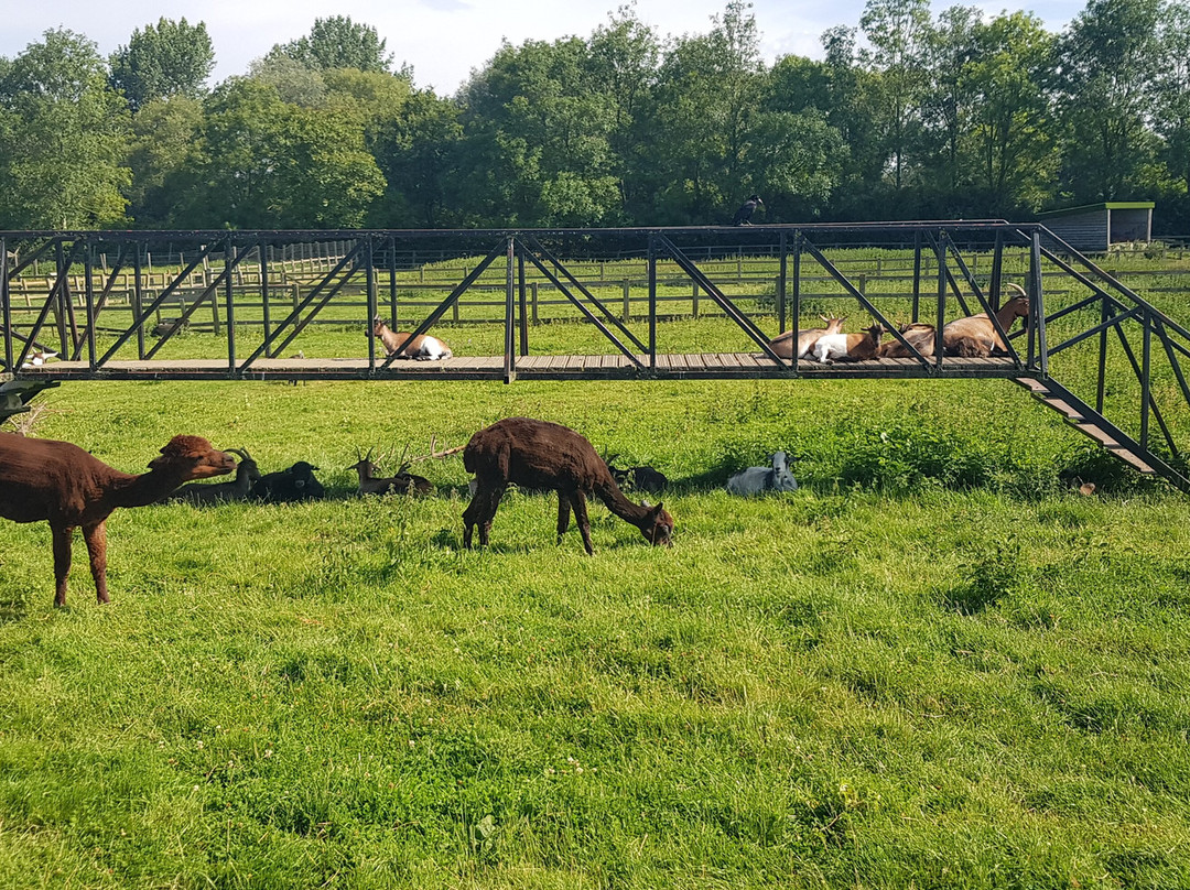 The Wild Pig Farm Shop景点图片