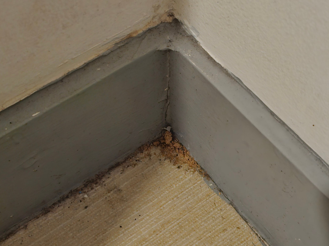 马尼拉Go酒店主图