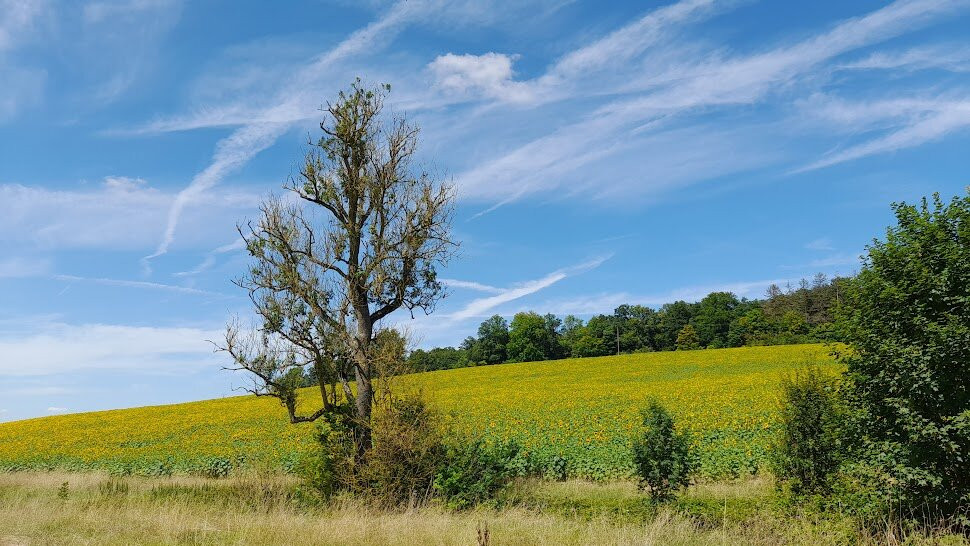 Abbaye du Val d'Igny-Arcis-le-Ponsart必去景点