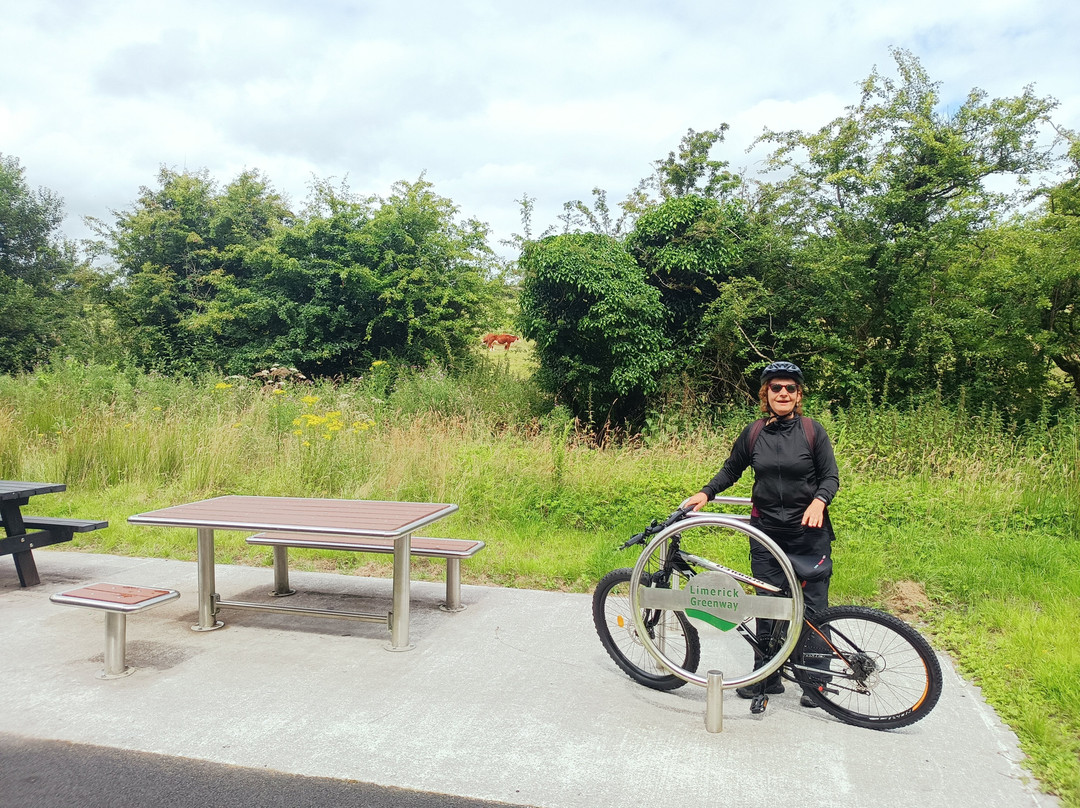 Locomotion Bike Rental-利默里克必去景点