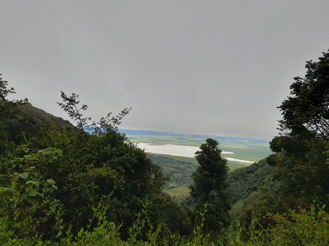 KILI PEACOCK ADVENTURES-莫西必去景点