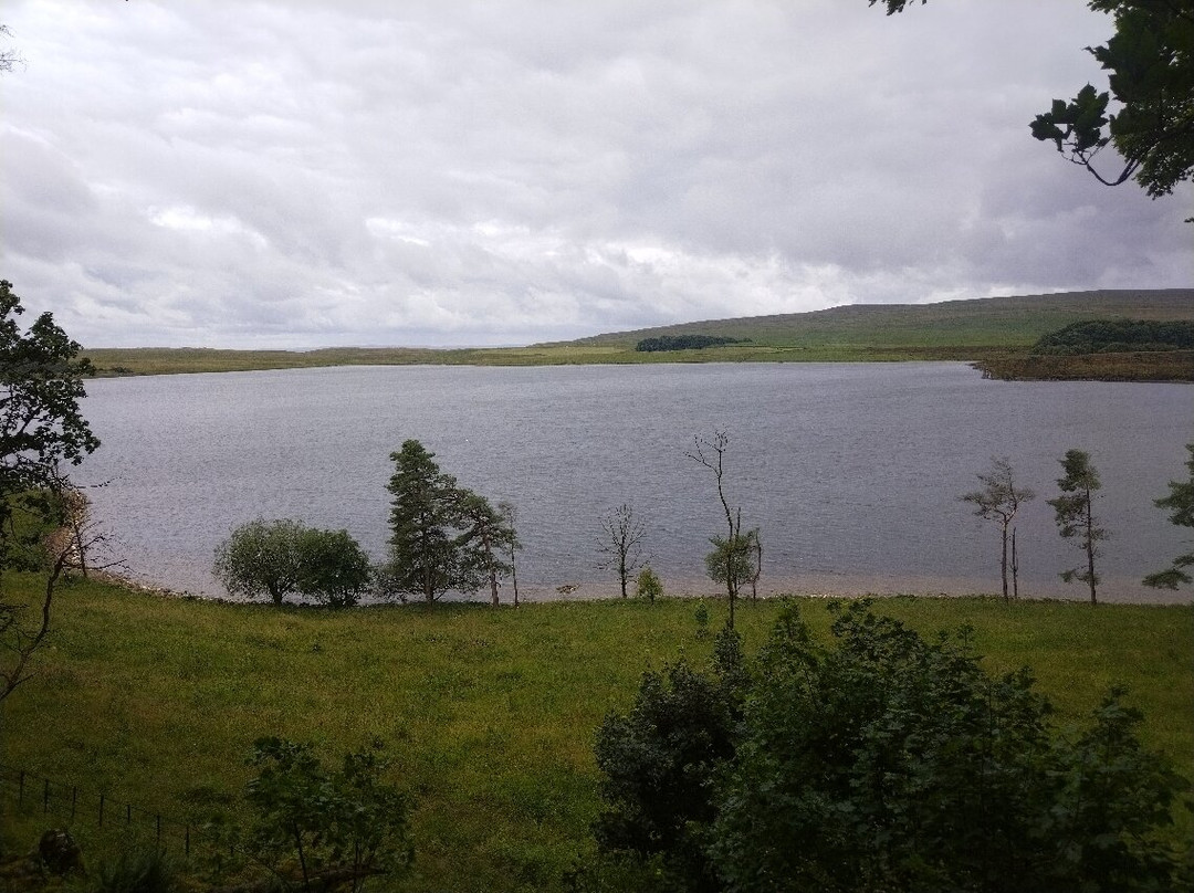 Malham Tarn景点图片