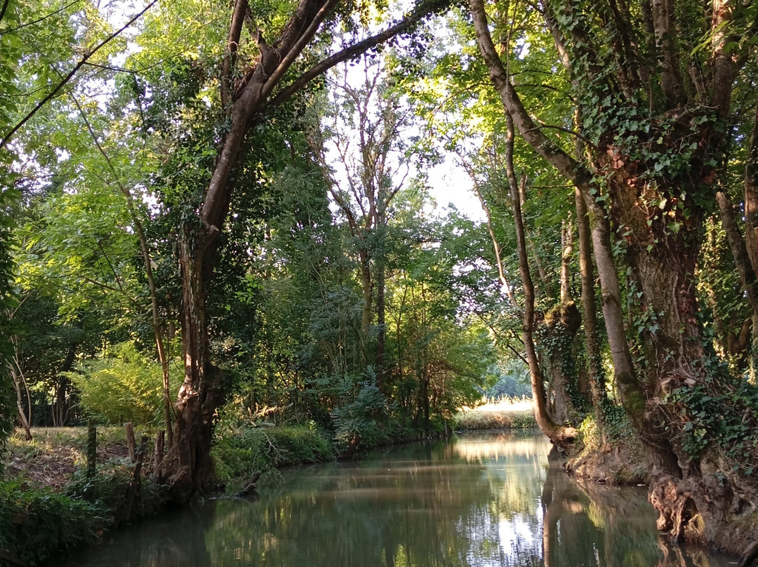 Embarcadere Cardinaud - Marais poitevin景点图片