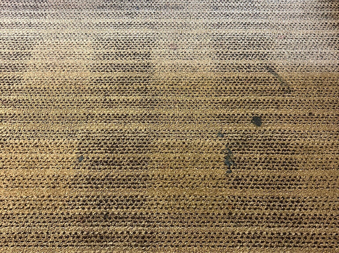 Extended Stay America - Tacoma - South主图