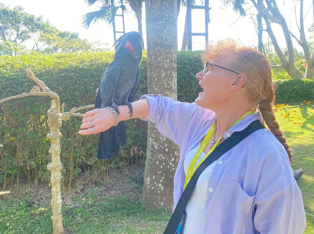 Lokha The Bali Tours-登巴萨必去景点