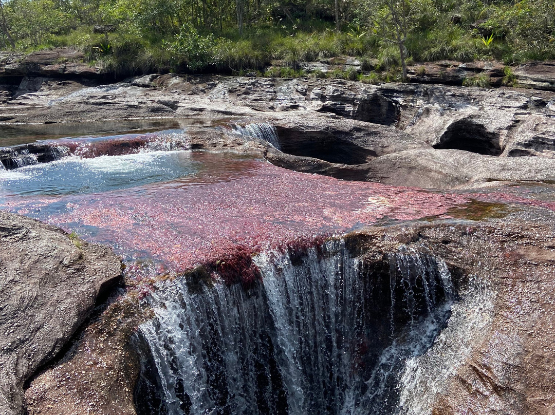 Gaia Tours-La Macarena必去景点