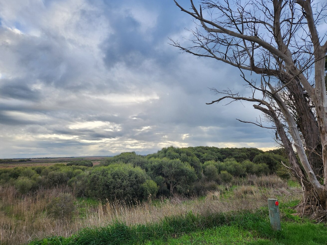 Bool Lagoon-Naracoorte必去景点