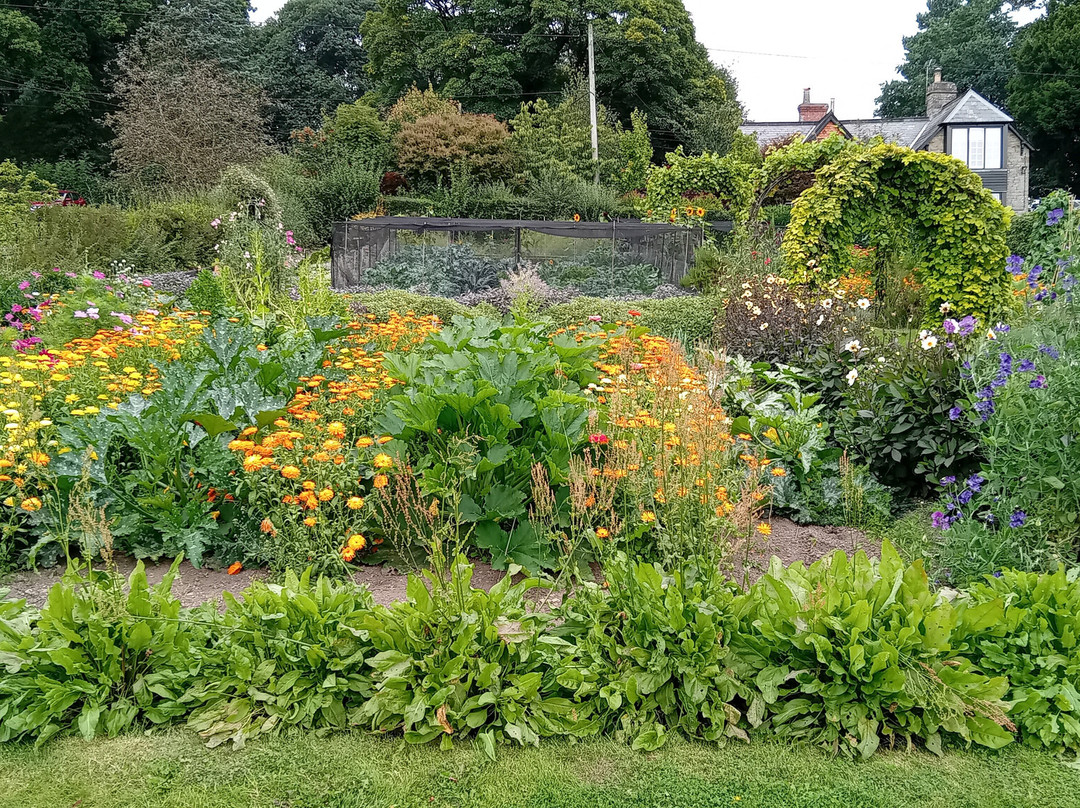 Hergest Croft Gardens景点图片