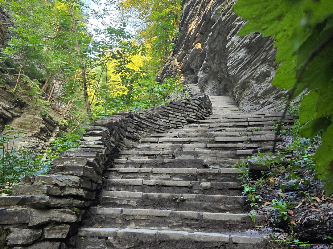 Hector Falls-Hector必去景点