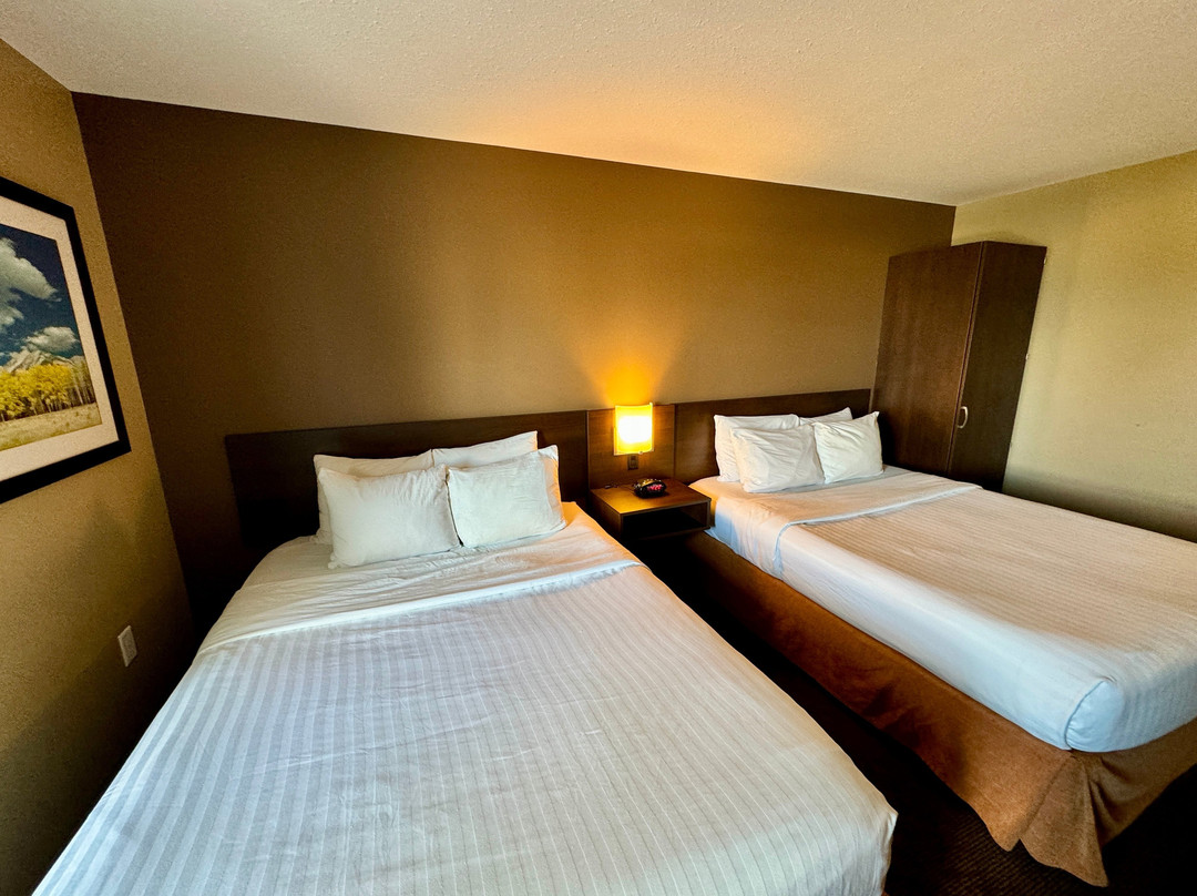 Microtel Inn & Suites by Wyndham Red Deer主图