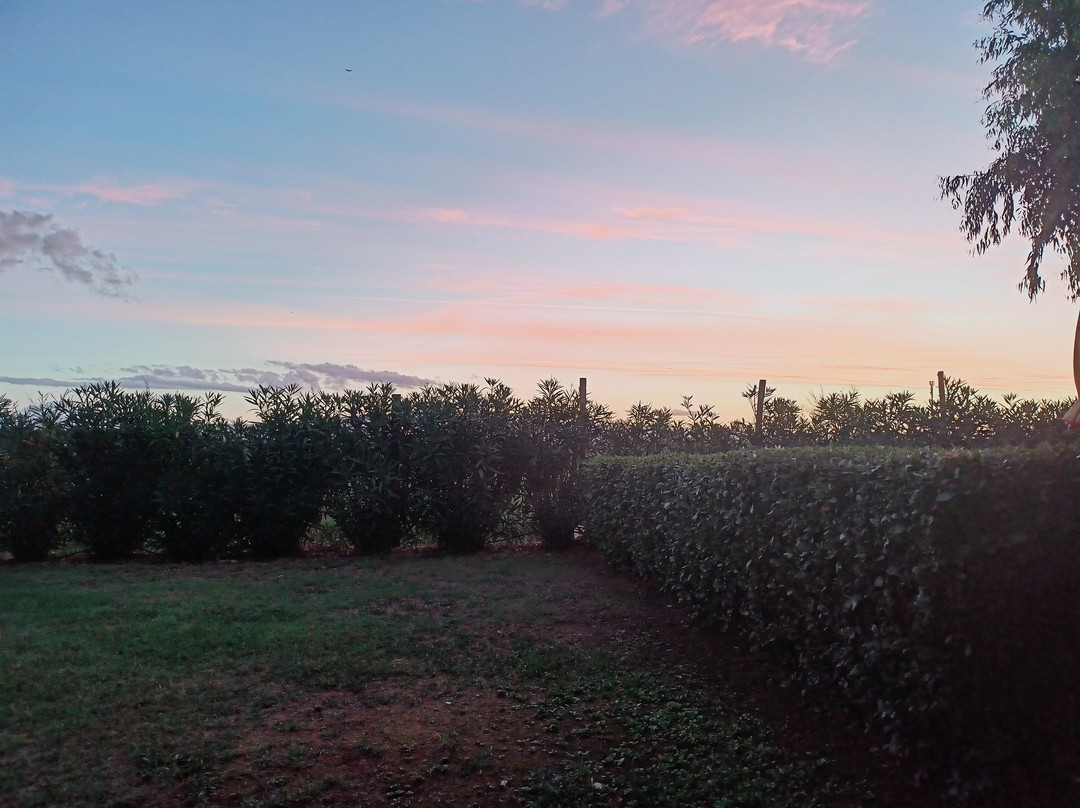 Residence Rosa dei Venti主图