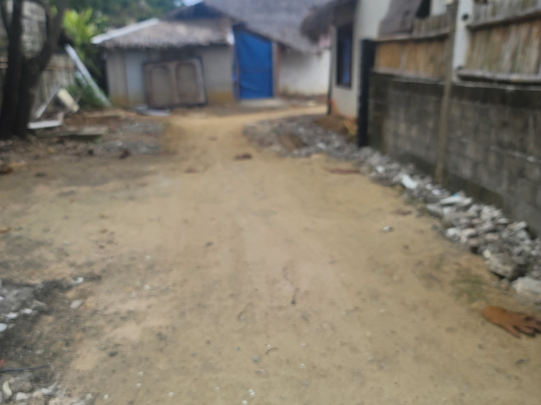 Greenhouse Siargao主图