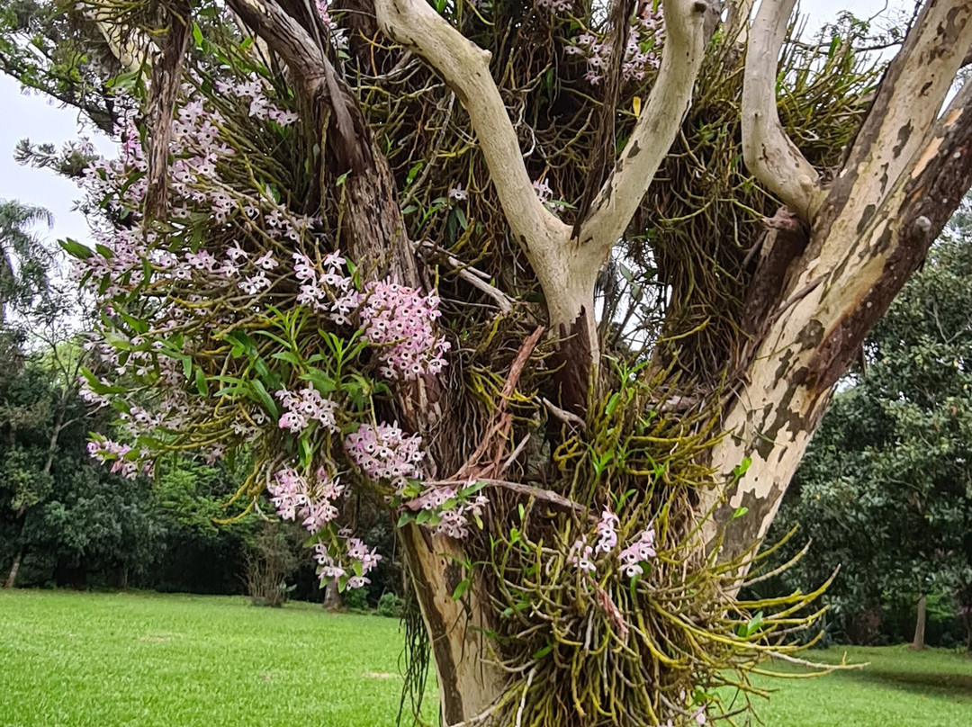 Estancia Santa Ines主图