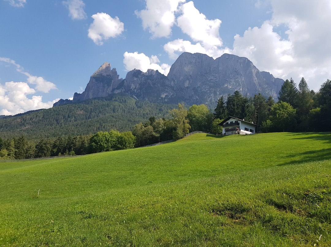 Artnatur Dolomites Hotel & Spa主图