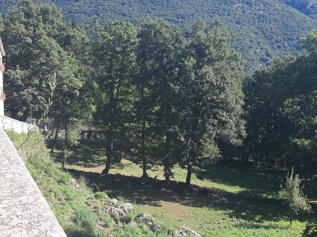 Area Faunistica del Lupo景点图片