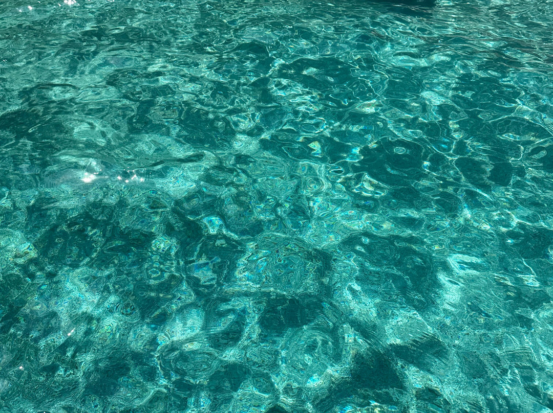 Sweet Summer景点图片