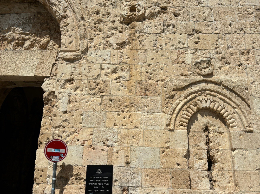 Gold Carpet Tours-Petah Tiqwa必去景点